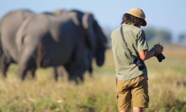 Tanzania Photographic safari